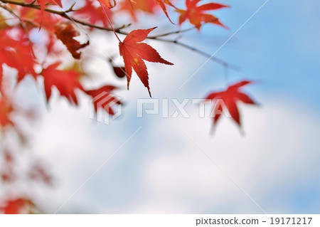 Arita Arita Shirogane Keka公園秋葉 19171217