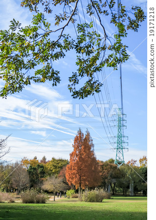 晚秋Megumi自然公園 19171218