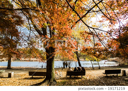 晚秋Megumi自然公園 19171219