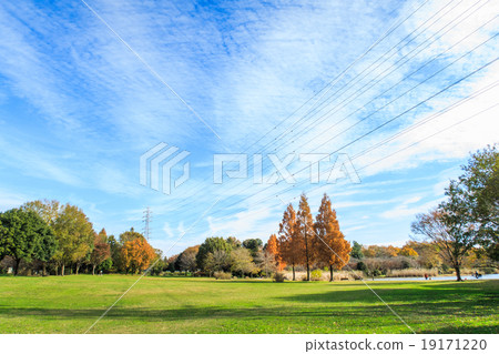 Late autumn Megumi Nature Park 19171220