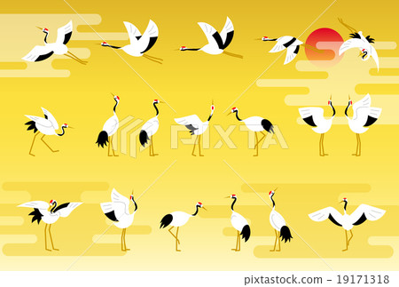 Crane pose 19171318