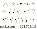 Crane pose 19171319