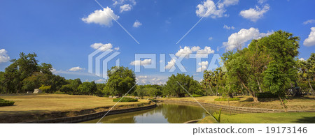 View of green trees in the city park 19173146