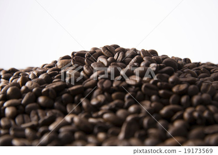 Coffee beans 19173569