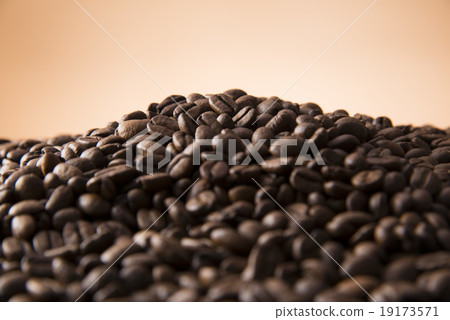 Coffee beans Coffee beans 19173571