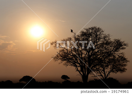 African sunset 19174961