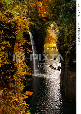 高千穗保志真正的名字瀑布和秋葉 19175256