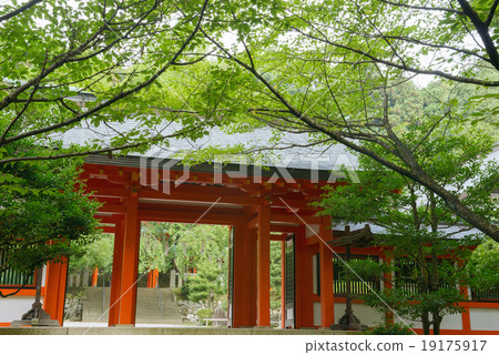 Omi Jingu 19175917