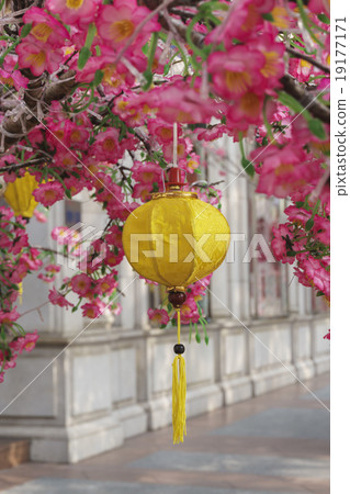 Spring lanterns Spring lanterns 19177171