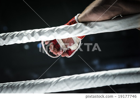 closeup hand of fighter MMA in glove 19177746
