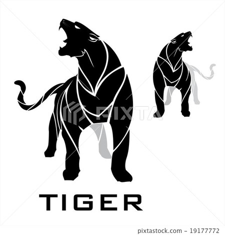standing tiger in black. panther. 19177772