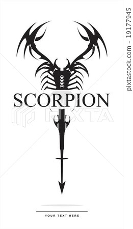 scorpion in black and white.  19177945