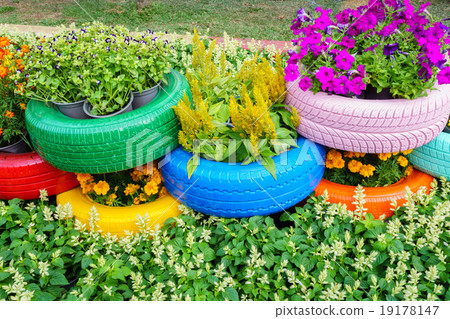 Colorful flowers and tire pots Colorful flowers and tire pots 19178147