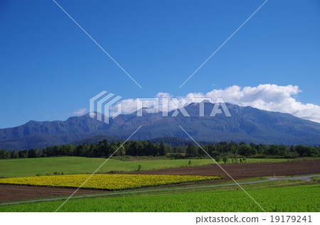 北海道風景 19179241