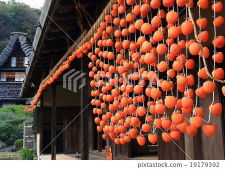 Old private house and dried persimmon 19179392