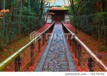 秋葉接近區域 秋葉接近區域 19179789