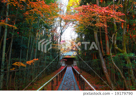 區域的方法 19179790