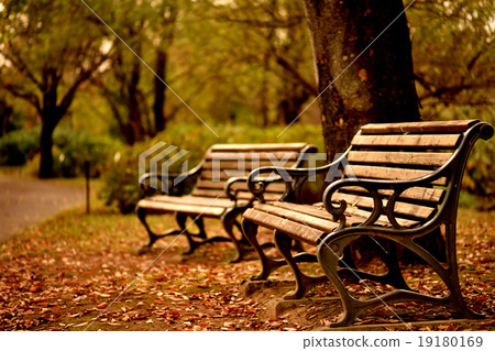 Bench 19180169