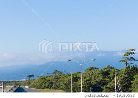 Senbon Matsubara and Mt. Fuji 19180558