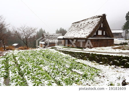World Heritage Gokayama Architectural Village 19181609