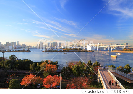 Odaiba colored leaves evening landscape Odaiba colored leaves evening landscape 19181674