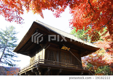 Autumn leaves of Hirin 19182222