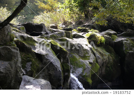 特里加卡瀑布 特里加卡瀑布 19183752