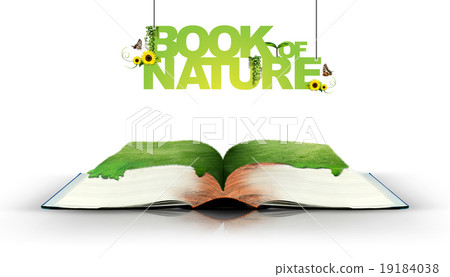 Open book with green nature Open book with green nature 19184038