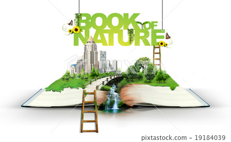 Open book with green nature Open book with green nature 19184039