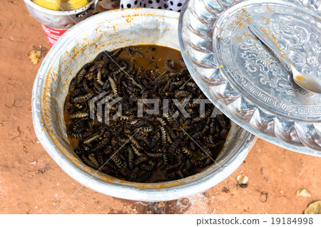 Silkworms cooked in Bobo Dioulasso 19184998