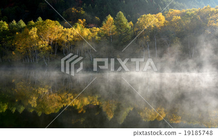 Morning fog Morning fog 19185748