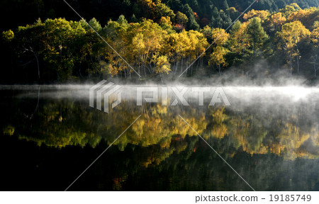 Morning of Kido Pond 19185749