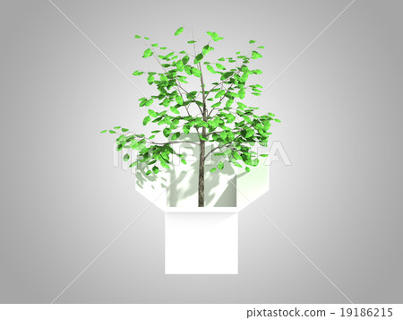 A tree growing from a white cardboard box 19186215