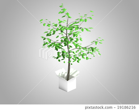 A tree growing from a white cardboard box 19186216