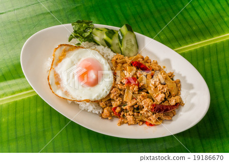 Gapa Rice Thai gourmet Phad Bai Gaprao Gai Sap Thai dish 19186670