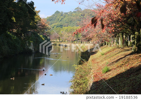 堀場步行道 堀場步行道 19188536