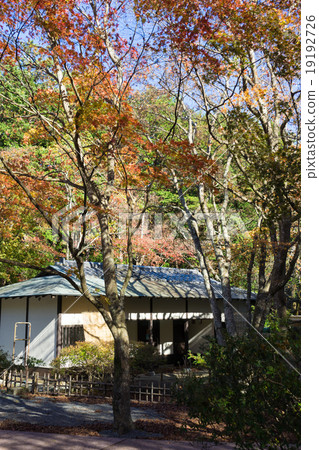 Autumn Shuzenji Bairublin walking road Autumn Shuzenji Bairublin walking road 19192726