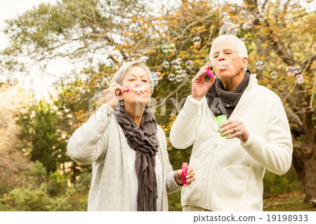 Senior couple in the park 19198933