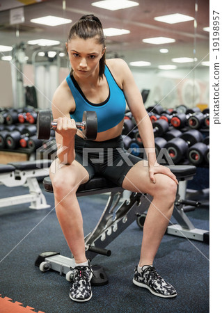 Focused woman lifting dumbbell while sitting down Focused woman lifting dumbbell while sitting down 19198957