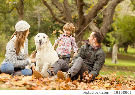 Young family with a dog in leaves Young family with a dog in leaves 19198961