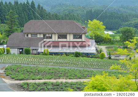 Herb garden landscape 19201260