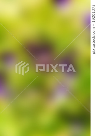 Awesome the abstract blur background  19201372