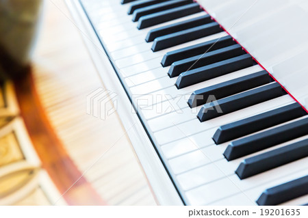 Piano keys Piano keys 19201635