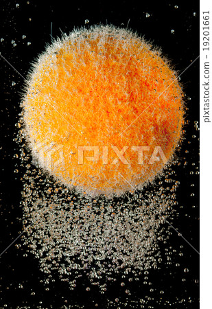Exotic orange fruit under water Exotic orange fruit under water 19201661