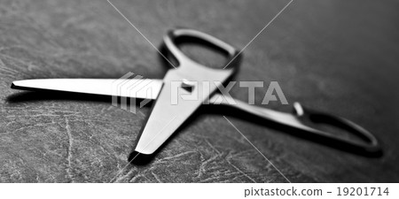 Scissors Scissors 19201714