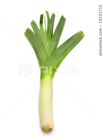 leek leek 19201715