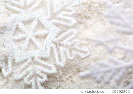 Snowflakes Snowflakes 19202203