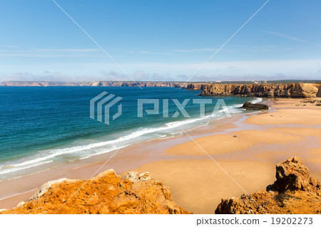 Calm tropical seaside 19202273