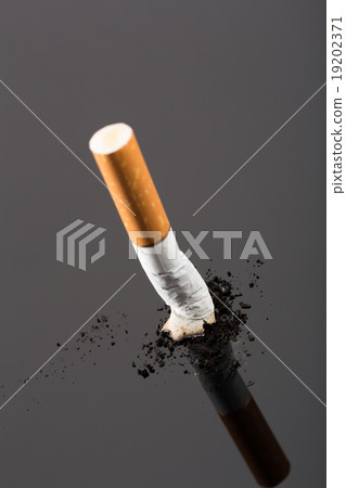 Cigarette butt on gray Cigarette butt on gray 19202371