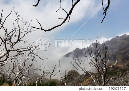 Obscure mountains Obscure mountains 19203517